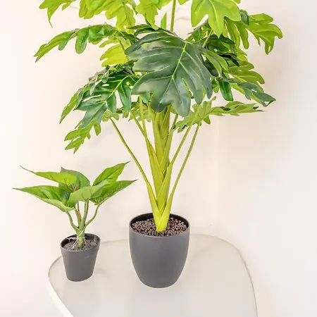 Lejlighed Guestready - Sunny Spacious In Belem *